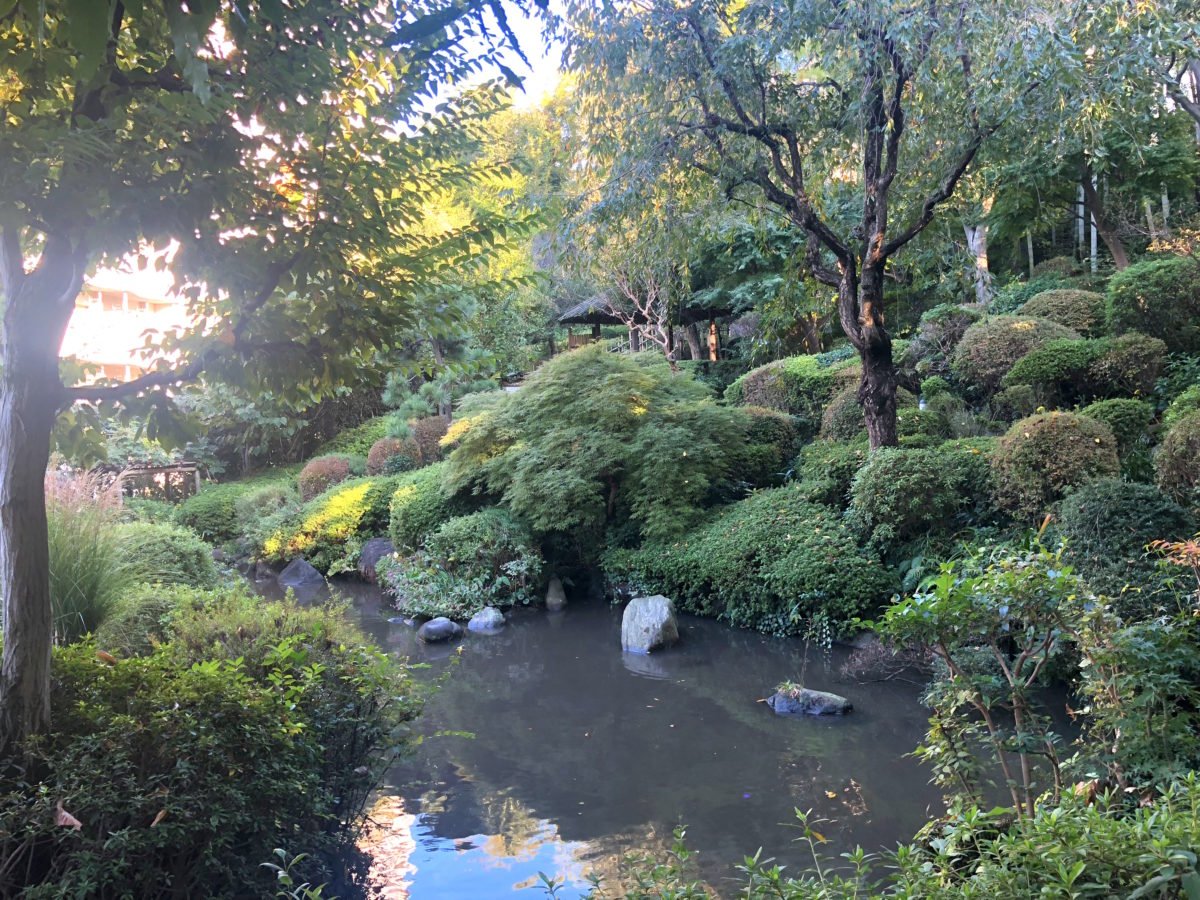 🌳 약사의 샘터(야쿠시노이즈미아토) 이미지 1